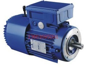 供應(yīng)BMD112M-6紫光制動(dòng)電機(jī) | 行業(yè)設(shè)備高效制動(dòng)解決方案